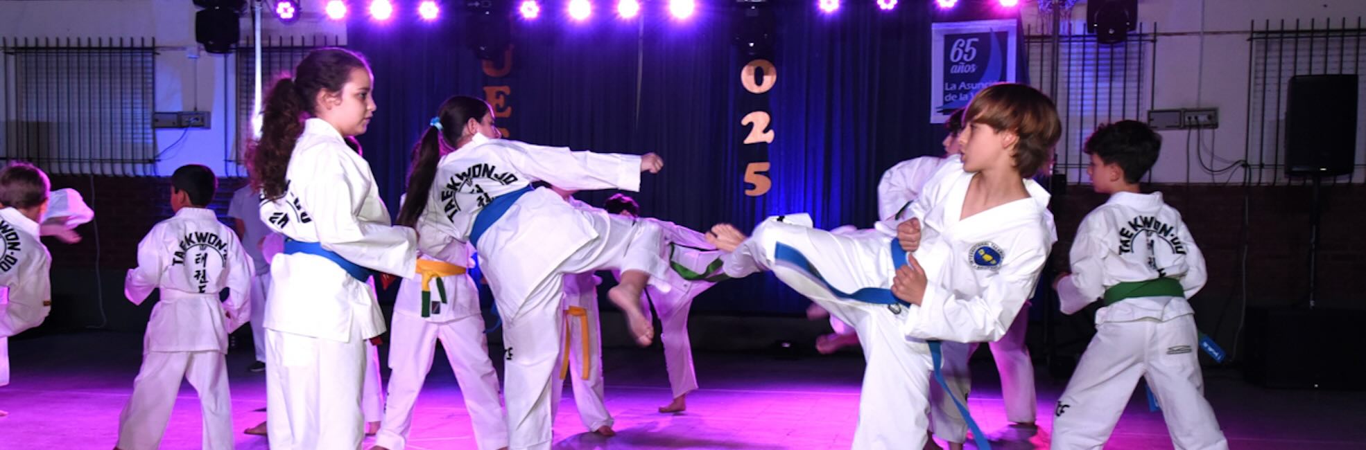 La Asunción de la Virgen