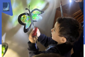 Proyecto de Luces y Sombras
