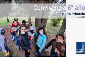 Novedades